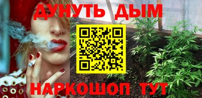 гидра Братск