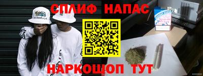 ешки Боровичи