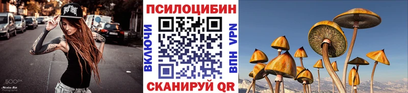 где купить   Кизляр  Галлюциногенные грибы мухоморы 