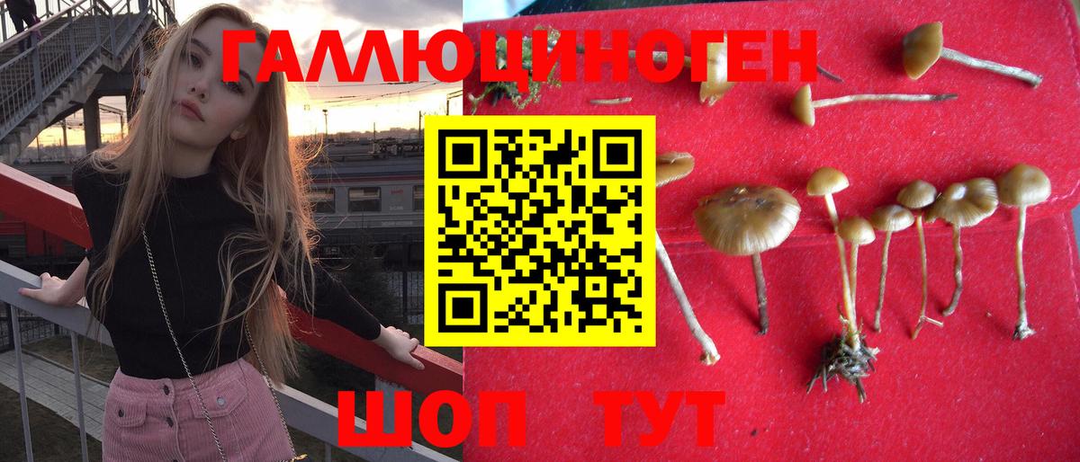 Галлюциногенные грибы ЛСД Кизляр
